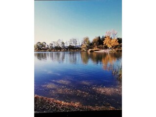 Casa per le vacanze Riefensberg Ambiente 37