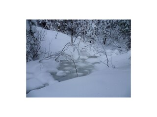 Casa per le vacanze Riefensberg Ambiente 39