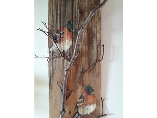 Casa per le vacanze Riefensberg Caratteristiche 17