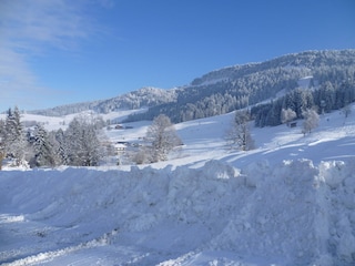 Teil vom Schigebiet Hochlitten