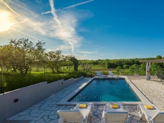 Villa Brtonigla Registrazione all'aperto 3