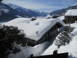 Chalet Mühlberg - Bramberg am Wildkogel - image1