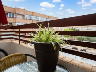 Appartement Torrevieja  40