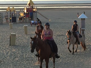 Ferienhaus Stellendam Umgebung 19