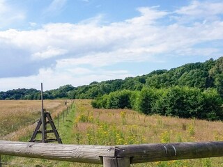Ferienhaus Helsingborg  5