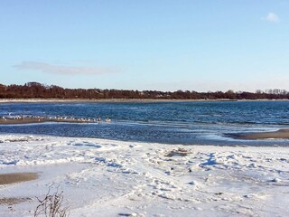 Ferienhaus Helsingborg  29