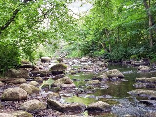 Ferienhaus Helsingborg  32