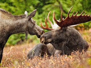 Vakantiehuis Welt  7