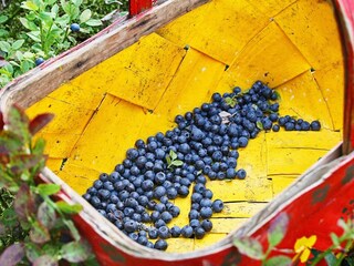 Vakantiehuis Welt  9