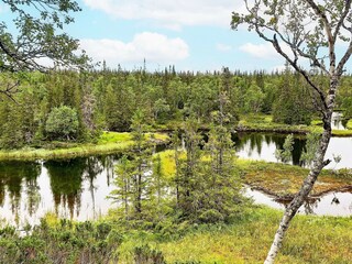 Vakantiehuis Welt  18