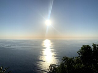 Tenuta Artà Ambiente 15