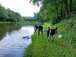 Vakantiehuis Maredret  31