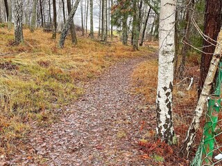 Vakantiehuis Ingarö  31
