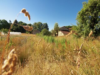 Parque de vacaciones Saint-Léonard-de-Noblat Entorno 32