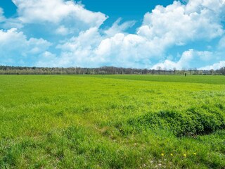 Maison de vacances Chaam Environnement 32
