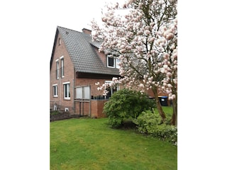 Garten mit Magnolienbaum