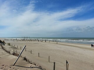 Vakantiehuisje Petten Omgeving 16