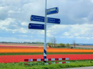 Vakantiehuisje Petten Omgeving 22