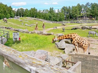 Vakantiehuis Ulricehamn  13