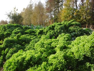 Vakantiehuis Ulricehamn  32