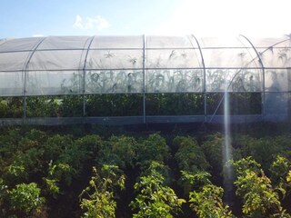 Vakantiehuis Ulricehamn  32