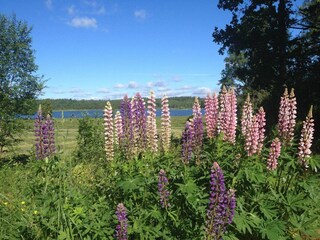 Holiday house Ulricehamn  10