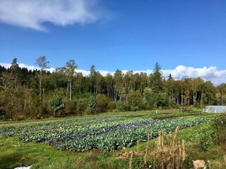 Holiday house Ulricehamn  26