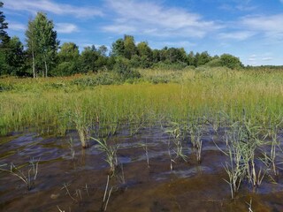 Ferienhaus Ulricehamn  35