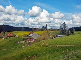 Holiday house St. Georgen im Schwarzwald Environment 25