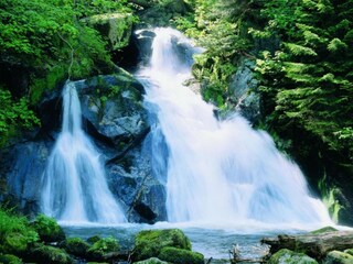 Vakantiehuis St. Georgen im Schwarzwald Omgeving 30