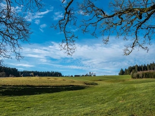 Ferienhaus St. Georgen im Schwarzwald Umgebung 24