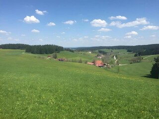 Holiday house St. Georgen im Schwarzwald Environment 28