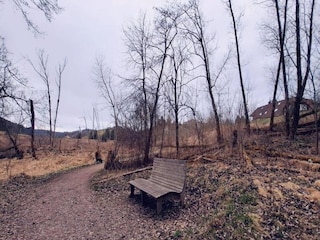 Ferienhaus St. Georgen im Schwarzwald Umgebung 23
