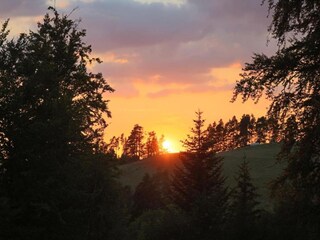 Holiday house St. Georgen im Schwarzwald Environment 33