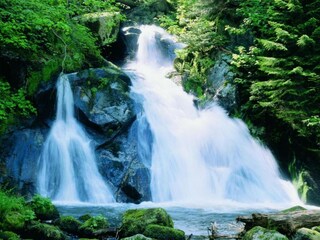 Vakantiehuis St. Georgen im Schwarzwald Omgeving 27