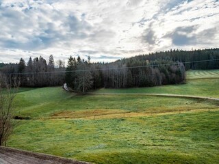 Vakantiehuis St. Georgen im Schwarzwald Omgeving 35