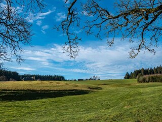 Vakantiehuis St. Georgen im Schwarzwald Omgeving 34