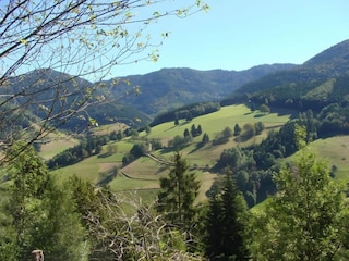 Ferienhaus St. Georgen im Schwarzwald Umgebung 33