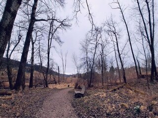 Vakantiehuis St. Georgen im Schwarzwald Omgeving 20