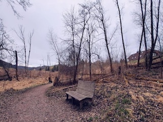 Ferienhaus St. Georgen im Schwarzwald Umgebung 26