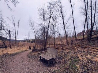 Maison de vacances St. Georgen im Schwarzwald Environnement 29