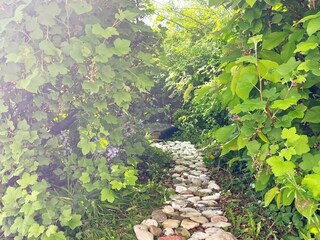 Maison de vacances Knebel Enregistrement extérieur 5