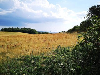 Casa per le vacanze Knebel  14