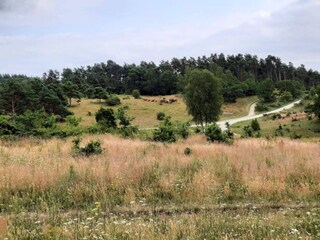 Casa per le vacanze Knebel  38