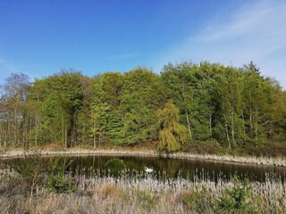 Ferienhaus Knebel  23