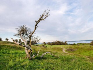 Holiday house Knebel  25