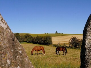 Casa per le vacanze Knebel  18