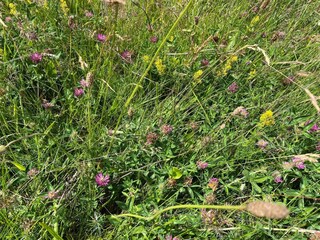 Holiday house Knebel  29