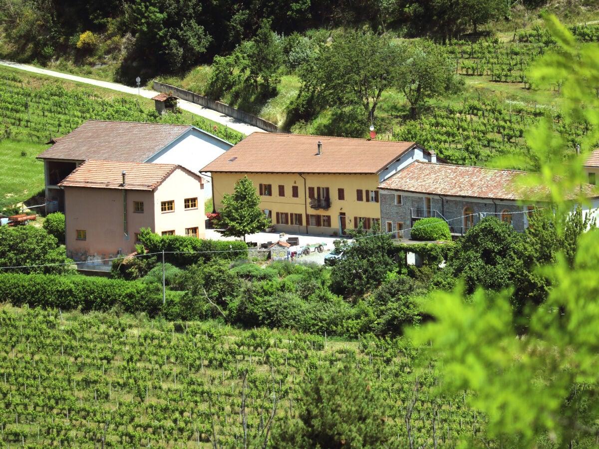 Unser Hof inmitten der Weinreben