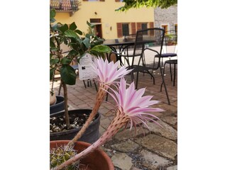 Vakantieappartement Montabone Buitenaudio-opname 14